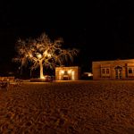 Last Minute Deals - a tree in the middle of a sandy area at night