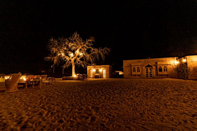 Last Minute Deals - a tree in the middle of a sandy area at night