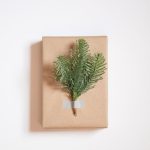 Creative Gift - a wrapped present with a plant on top of it