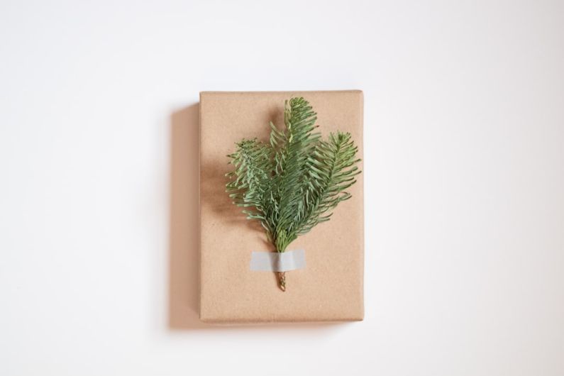 Creative Gift - a wrapped present with a plant on top of it