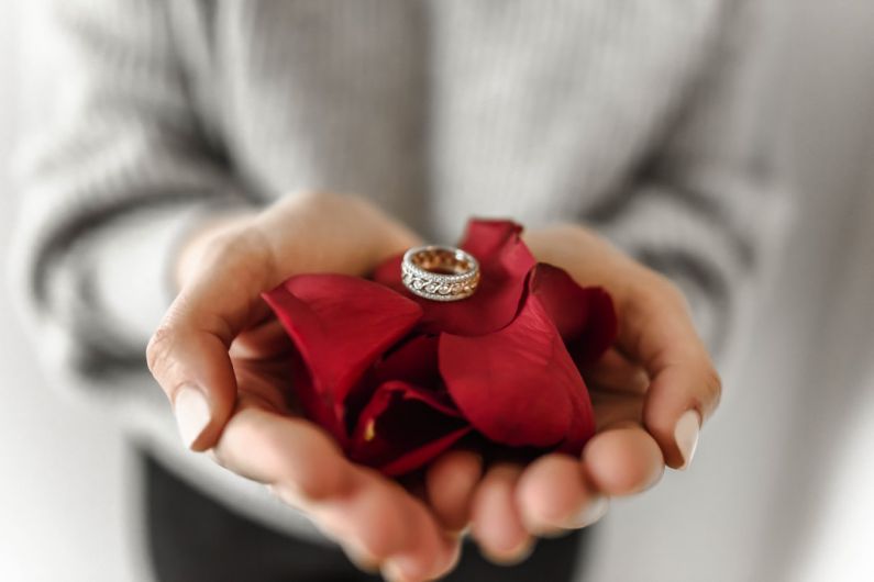 Romantic Gift - person holding red petaled flower and silver-colored ring